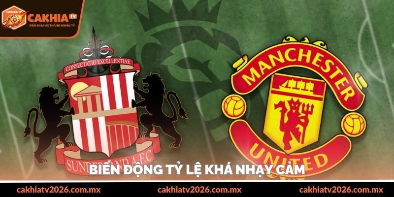 Biến động tỷ lệ khá nhạy cảm