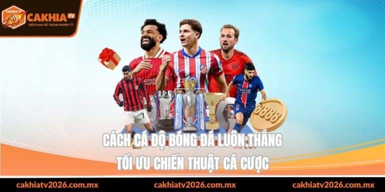 cách cá độ bóng đá luôn thắng tối ưu chiến thuật cá cược